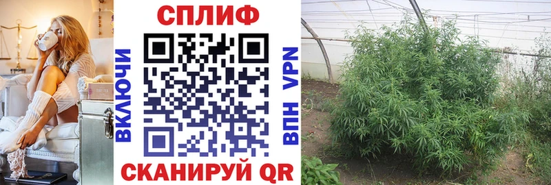Цена Вологда Марихуана ТГК АМФЕТАМИН БУТИРАТ COCAIN ГАШИШ Меф А ПВП
