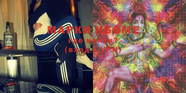 ГАЛЛЮЦИНОГЕННЫЕ ГРИБЫ Вязники