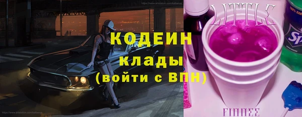 ГАЛЛЮЦИНОГЕННЫЕ ГРИБЫ Вязники