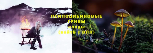 ГАЛЛЮЦИНОГЕННЫЕ ГРИБЫ Вязники