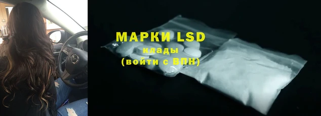 mdpv Вяземский