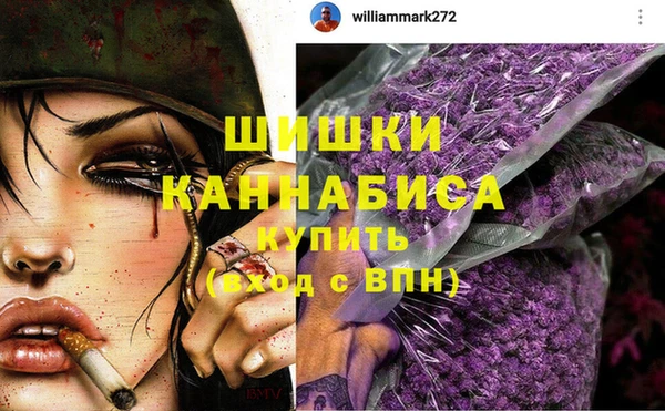 mdpv Вяземский