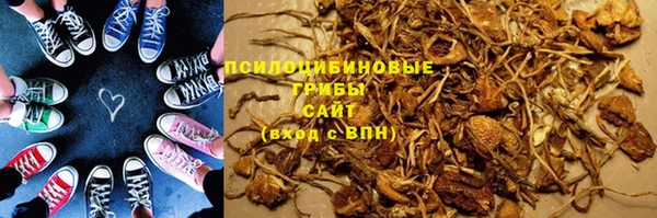 ГАЛЛЮЦИНОГЕННЫЕ ГРИБЫ Вязники