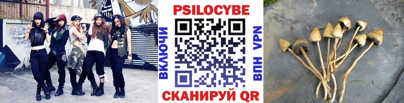 продажа наркотиков  Вологда  Псилоцибиновые грибы мухоморы 